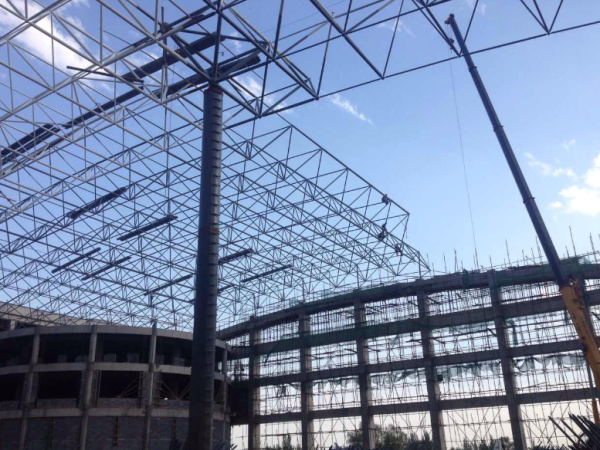 林芝煤棚网架
